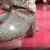 Liberace Shoes